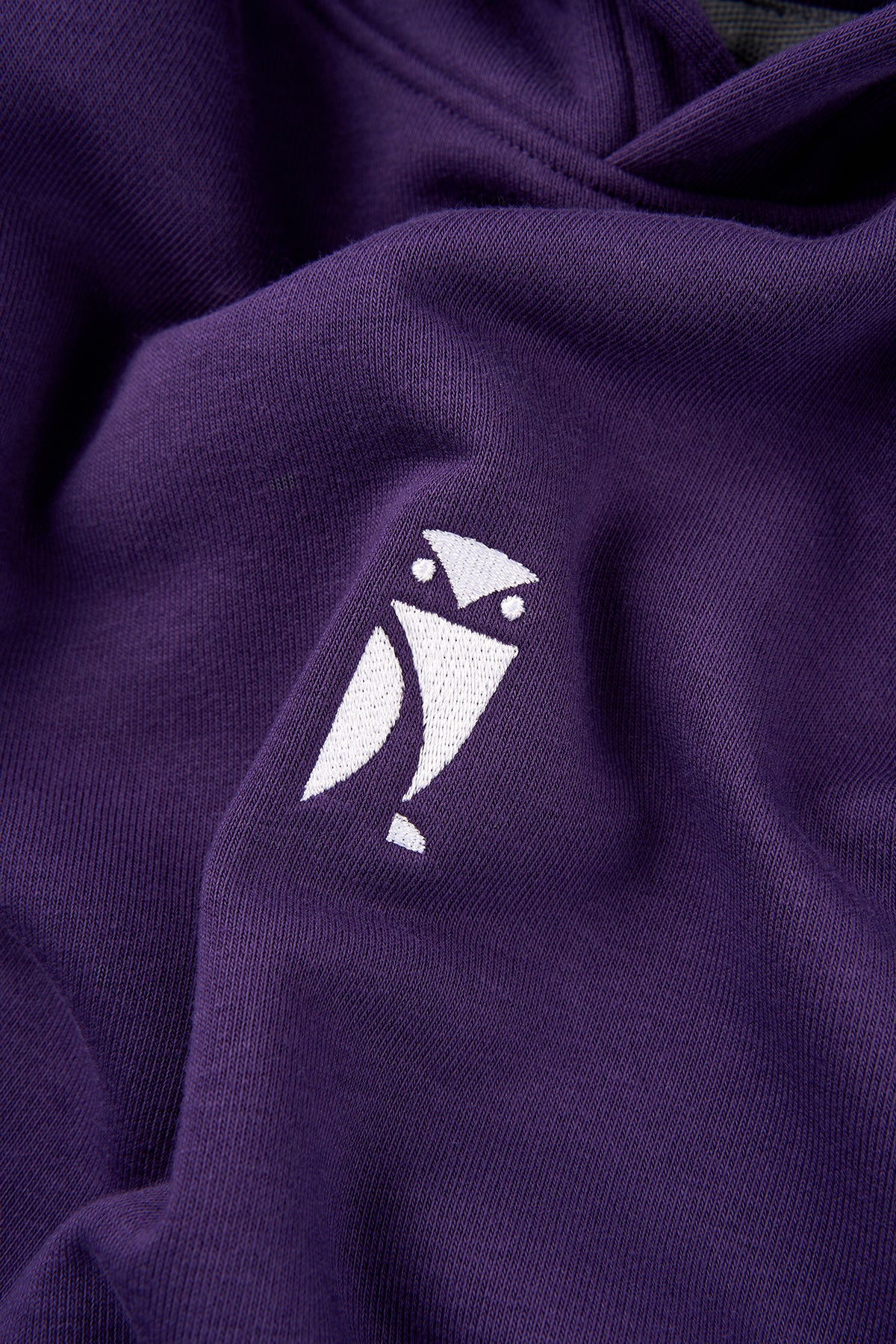 Bilim Koleji Hoodie - Purple