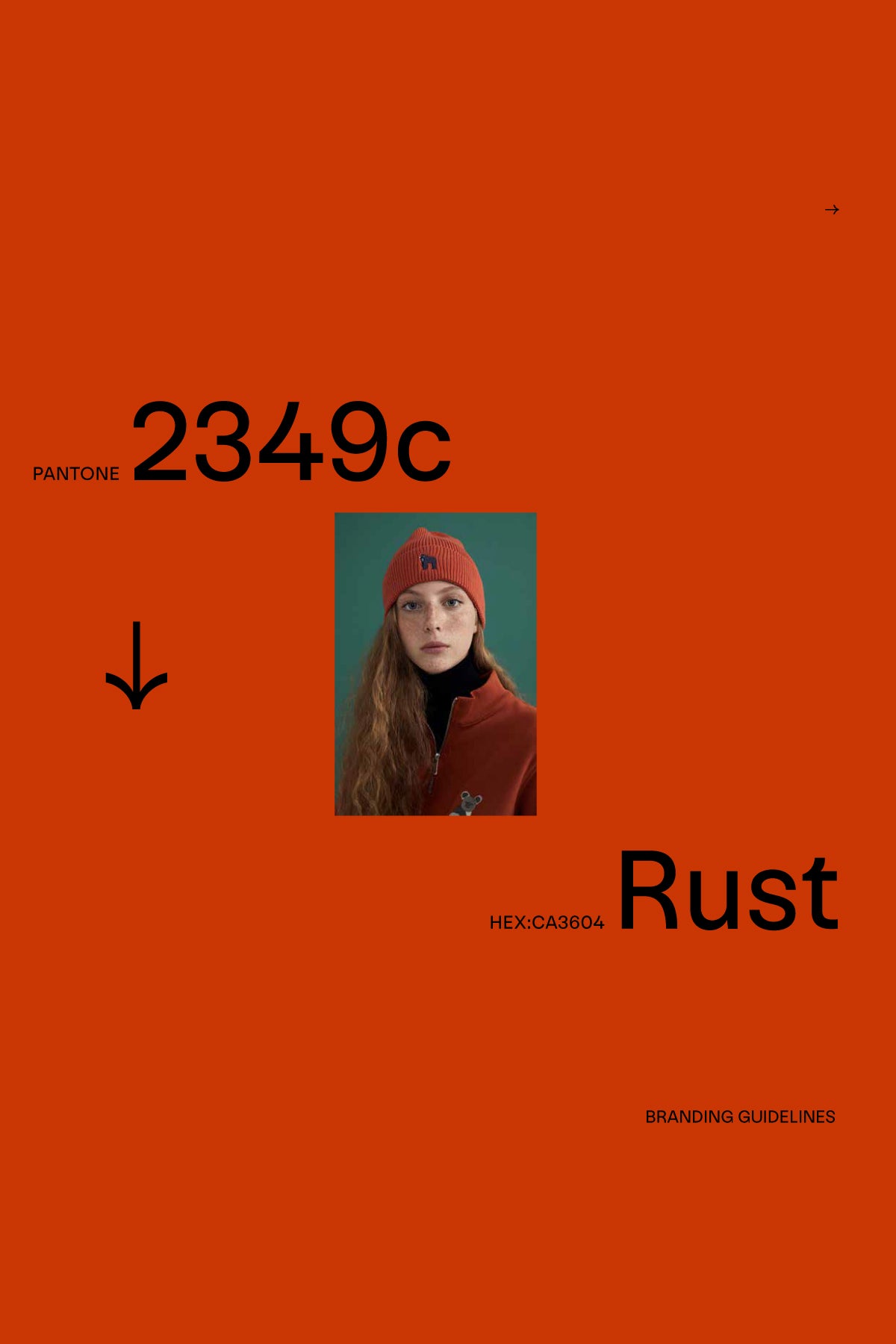 Branding for WWF Market