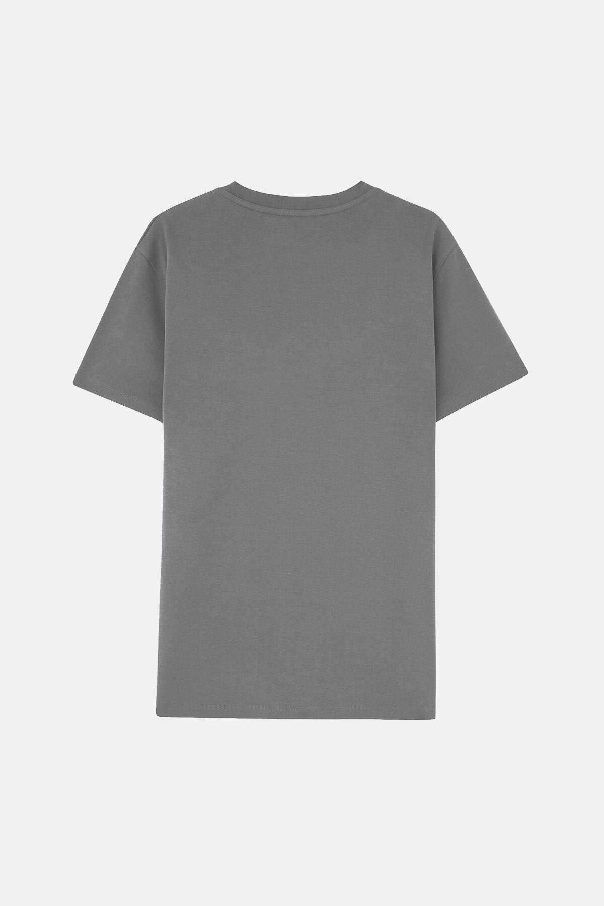 Basic Premium T-Shirt - Gri