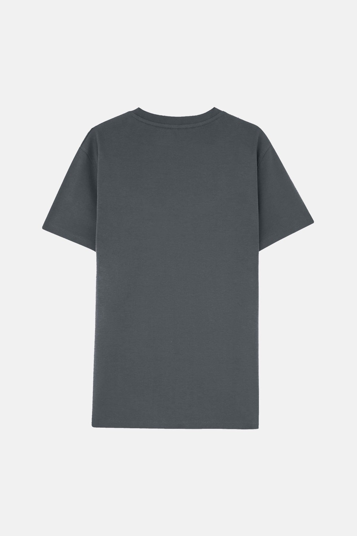 Basic Premium T-Shirt - Füme